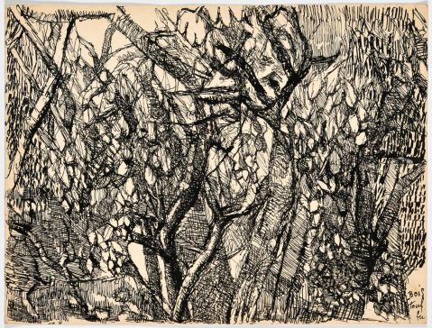 Bois touffu (Forêt / Esquisse) par LOUIS SOUTTER (1871-1942), une oeuvre d'art expertisée par Morin Williams Expertise, vendue aux enchères.