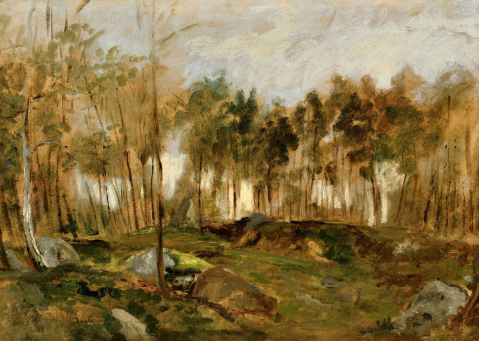 Les rochers de la forêt de Fontainebleau par CHARLES-FRANCOIS DAUBIGNY (FRA/ 1817-1878), une oeuvre d'art expertisée par Morin Williams Expertise, vendue aux enchères.