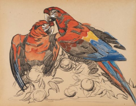 Deux perroquets par PAUL JOUVE (FRA/ 1878-1973), une oeuvre d'art expertisée par Morin Williams Expertise, vendue aux enchères.