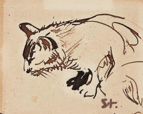 Etude de chat par THÉOPHILE-ALEXANDRE STEINLEN (FRANCE/ 1859-1923), une oeuvre d'art expertisée par Morin Williams Expertise, vendue aux enchères.