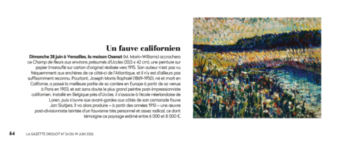 Une oeuvre d'art de Gazette Drouot 19/06/2026 - Un fauve californien, expertisée par Morin Williams Expertise, vendue aux enchères.